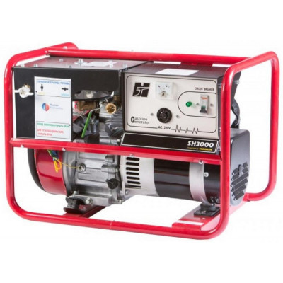 Газовый генератор REG SH3000 Газовый генератор REG SH3000