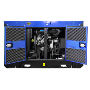 ТСС АД-16С-Т400-1РКМ11 с АВР