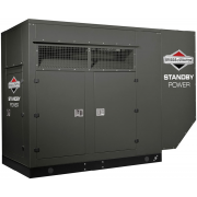 Briggs & Stratton G1000