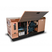 Toyo TG-40TBS с АВР