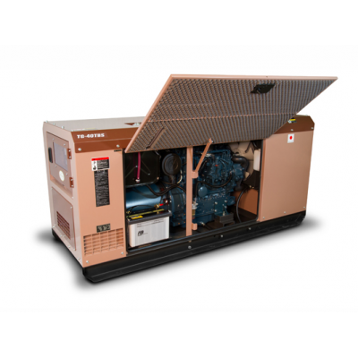 Дизельный генератор Toyo TG-40TBS с АВР Дизельный генератор Toyo TG-40TBS с АВР