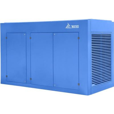 Дизельный генератор ТСС АД-300С-Т400-1РПМ26 с АВР Дизельный генератор ТСС АД-300С-Т400-1РПМ26 с АВР