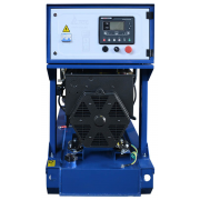 ТСС АД-16С-230-1РМ11 с АВР