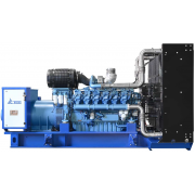 ТСС АД-1000С-Т400-1РМ5 с АВР