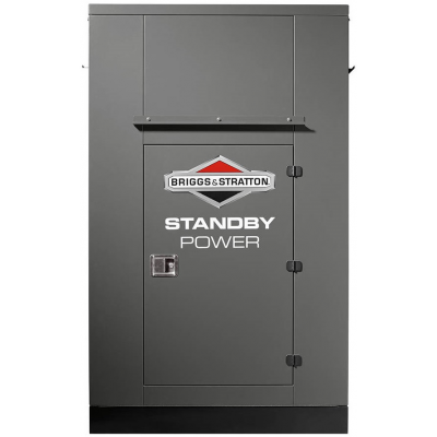 Газовый генератор Briggs & Stratton G1000 с АВР Газовый генератор Briggs & Stratton G1000 с АВР