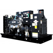 Pramac GGW50G в контейнере