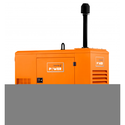 Дизельный генератор TAFE Power TAF-P-45W Дизельный генератор TAFE Power TAF-P-45W