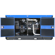 ТСС АД-40С-Т400-1РКМ7 с АВР