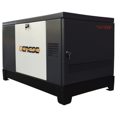 Газовый генератор Genese Pro 22000 T Neva в кожухе Газовый генератор Genese Pro 22000 T Neva в кожухе