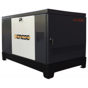 Genese Standard 14000 Neva в кожухе с АВР