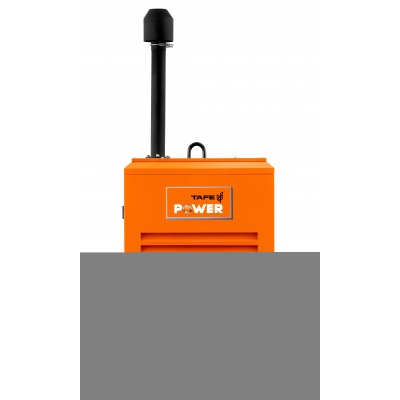 Дизельный генератор TAFE Power TAF-P-45W 1 фаза Дизельный генератор TAFE Power TAF-P-45W 1 фаза