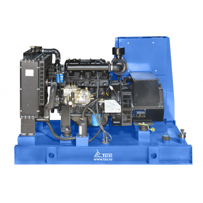 Дизельный генератор ТСС АД-10С-230-1РМ19 Дизельный генератор ТСС АД-10С-230-1РМ19