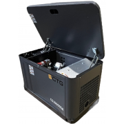 CTG CG10000SA с АВР