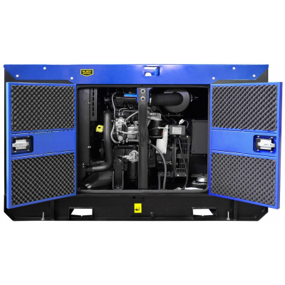 Дизельный генератор ТСС АД-10С-230-1РМ13 в контейнере с АВР Дизельный генератор ТСС АД-10С-230-1РМ13 в контейнере с АВР