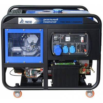 Дизельный генератор ТСС SDG 12000EH в контейнере Дизельный генератор ТСС SDG 12000EH в контейнере