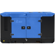 ТСС АД-10С-230-1РКМ11 с АВР