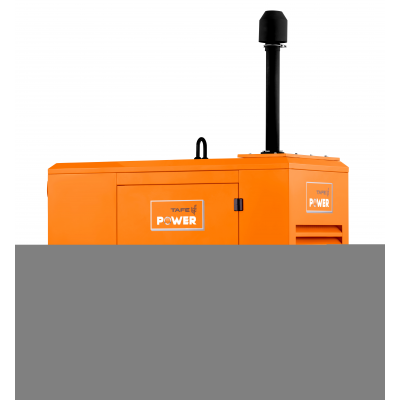 Дизельный генератор TAFE Power TAF-P-40W с АВР Дизельный генератор TAFE Power TAF-P-40W с АВР