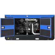 ТСС АД-25С-Т400-1РКМ7 с АВР