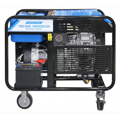 Бензиновый генератор ТСС SGG 18000EH3A в контейнере Бензиновый генератор ТСС SGG 18000EH3A в контейнере
