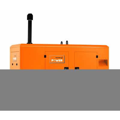Дизельный генератор TAFE Power TAF-P-100W Дизельный генератор TAFE Power TAF-P-100W