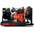 Дизельный генератор Himoinsa HSW-280 T5 с АВР Дизельный генератор Himoinsa HSW-280 T5 с АВР