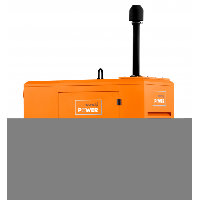 Дизельный генератор TAFE Power TAF-P-30W 1 фаза с АВР Дизельный генератор TAFE Power TAF-P-30W 1 фаза с АВР