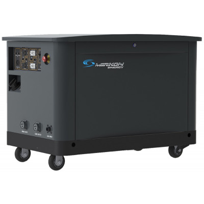 Газовый генератор Mirkon Energy MKG21MF с АВР Газовый генератор Mirkon Energy MKG21MF с АВР