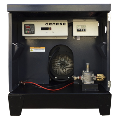 Газовый генератор Genese Standard 12000 Neva в кожухе с АВР Газовый генератор Genese Standard 12000 Neva в кожухе с АВР
