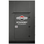 Briggs & Stratton G2000