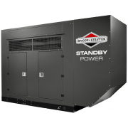 Briggs & Stratton G2000