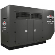 Briggs & Stratton G2000 с АВР