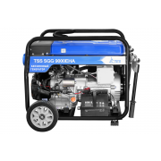 ТСС SGG 9000 EHA с АВР