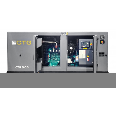 Газовый генератор CTG 80CG в кожухе с АВР Газовый генератор CTG 80CG в кожухе с АВР
