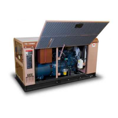 Дизельный генератор Toyo TG-12SBS с АВР Дизельный генератор Toyo TG-12SBS с АВР