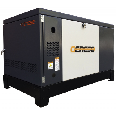 Газовый генератор Genese Standard 10000 Neva в кожухе с АВР Газовый генератор Genese Standard 10000 Neva в кожухе с АВР