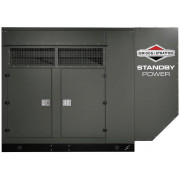 Briggs & Stratton G800