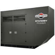 Briggs & Stratton G800