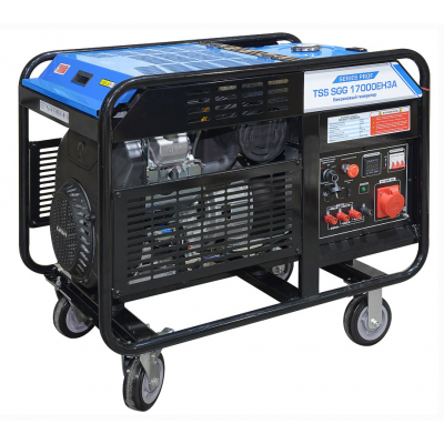 Бензиновый генератор ТСС SGG 17000EH3U в контейнере с АВР Бензиновый генератор ТСС SGG 17000EH3U в контейнере с АВР