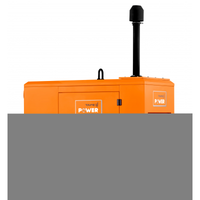 Дизельный генератор TAFE Power TAF-P-30W 1 фаза Дизельный генератор TAFE Power TAF-P-30W 1 фаза