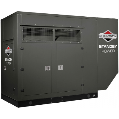 Газовый генератор Briggs & Stratton G800 с АВР Газовый генератор Briggs & Stratton G800 с АВР