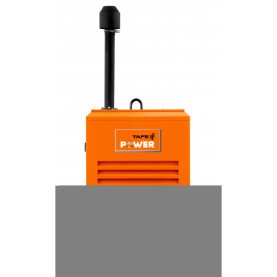 Дизельный генератор TAFE Power TAF-P-30W Дизельный генератор TAFE Power TAF-P-30W