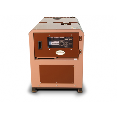 Дизельный генератор Toyo TG-19TBS Дизельный генератор Toyo TG-19TBS