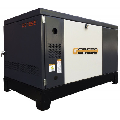 Газовый генератор Genese GG25 в кожухе Газовый генератор Genese GG25 в кожухе